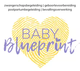 Baby Blueprint